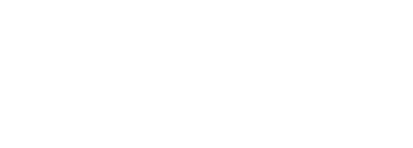 TAK CHOI HONGKONG DEVELOPMENT COMPANY
